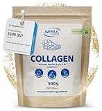 Collagen Pulver - Bioaktives Kollagen Hydrolysat Peptide, Eiweiß-Pulver Geschmacksneutral, Wehle Sports Made in Germany...