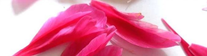 Krankenzusatzversicherung bei Bindegewebsschwäche