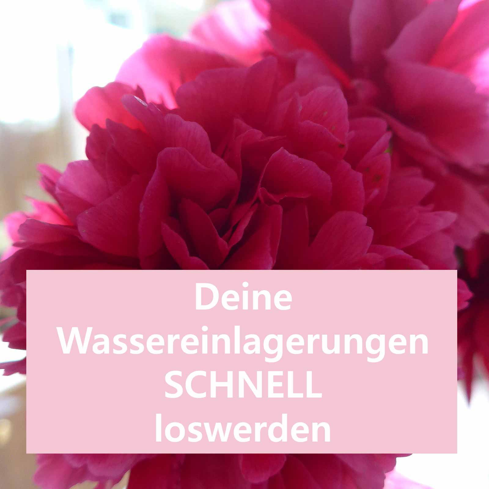 Wassereinlagerungen im Körper natürlich loswerden